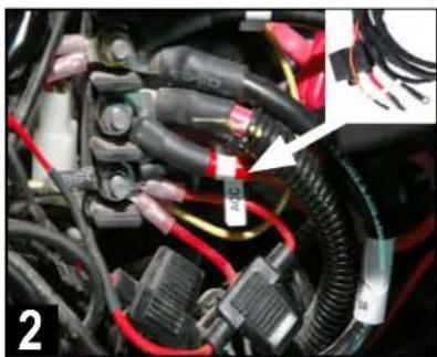 MB QUART MBQX-STG2-RAD-1 - ROUTE WIRING HARNESS - 2