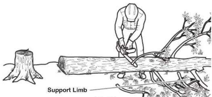 Support Limb