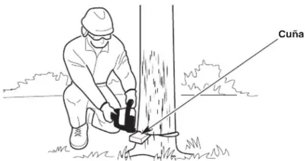 TROY-BILT TB4620H XP - Este corte derriba el árbol. - 2