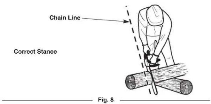 Chain Line Correct Stance Fig. 8