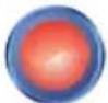 Irritrol DX3-PPEDTW - The Buttons - 6