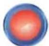 Irritrol DX3-PSB08 - The Buttons - 6