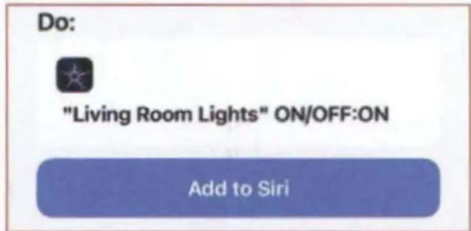 Do: "Living Room Lights" ON/OFF:ON Add to Siri