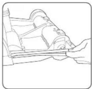 VAX Rapide W86-RU-S - Replacing the belt - 3