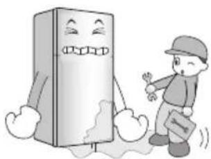 LG R-2012YVS - When using the refrigerator - 6