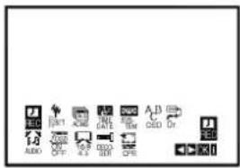 LG GC947P1 - If you want to change recording type: - 1