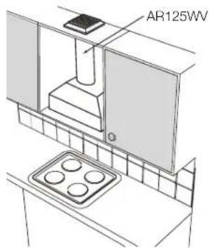WESTINGHOUSE WRI500DB - Recirculating installation - 1