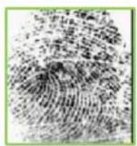 ZKTeco OP200 - 3) Getting Good Fingerprint Images - 3