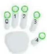 ZKTeco OP200 - 1) First select finger(s) to enroll - 1