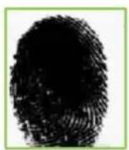 ZKTeco OP200 - 3) Getting Good Fingerprint Images - 2
