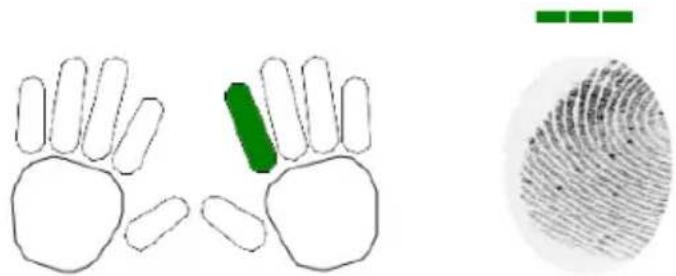 ZKTeco OP200 - Enroll Fingerprints - 1