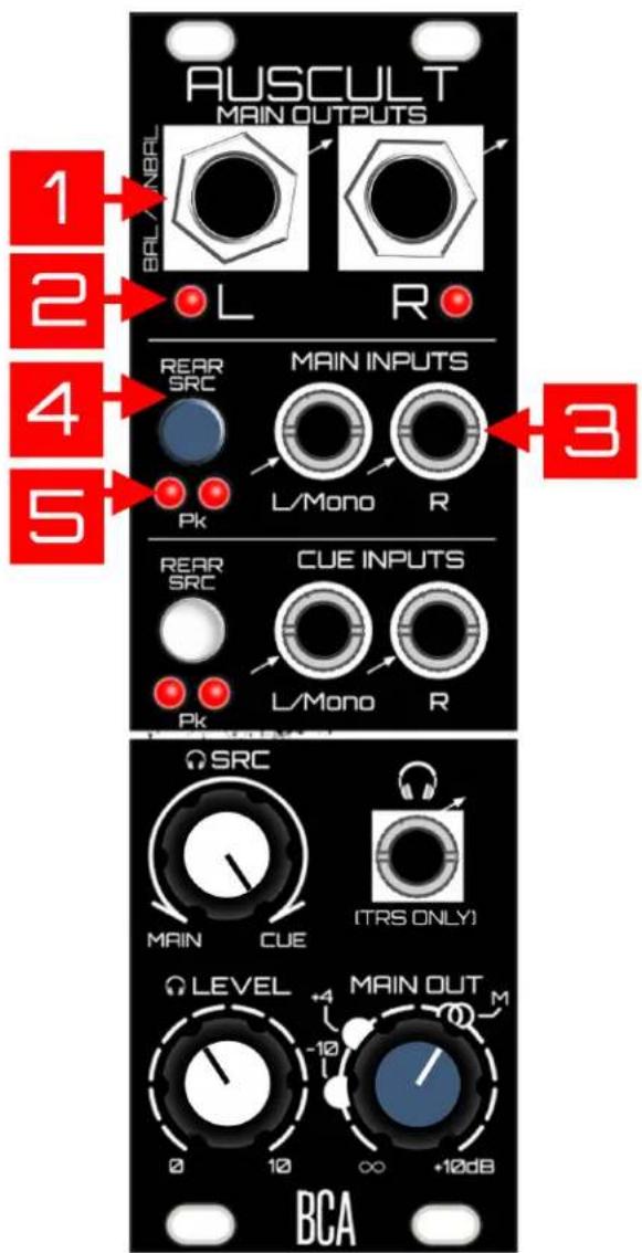 Blood Cells Audio Auscul - Anatomy (Front Panel) - 1