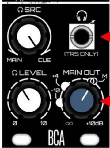 Blood Cells Audio Auscul - Anatomy (Front Panel) - 4