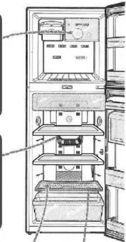 SAMSUNG RT25XBDS - Refrigerator Shelf - 2