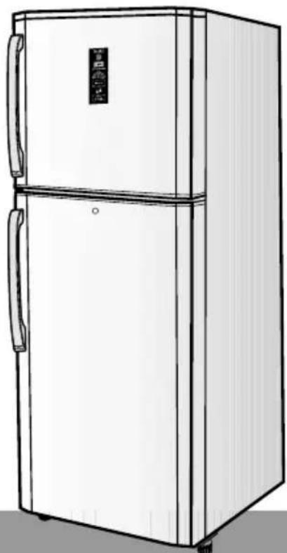 SAMSUNG RT25XBDS - 2