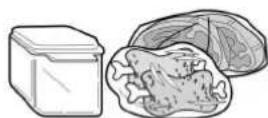 SAMSUNG RT29BVMS - STORING FOOD - 2
