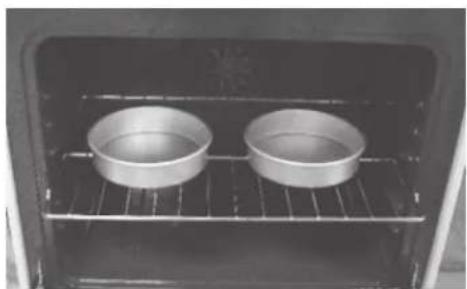 FRIGIDAIRE FEFL69HS - Air Circulation in the Oven - 2