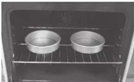 FRIGIDAIRE FGF355FS - Air Circulation in the Oven - 2