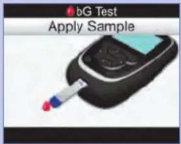 bG Test Apply Sample