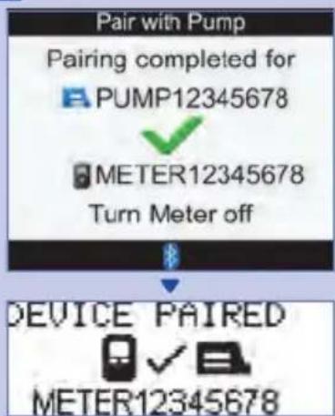 Pair with Pump Pairing completed for PUMP12345678 METER12345678 Turn Meter off DEVICE PAIRED METER12345678