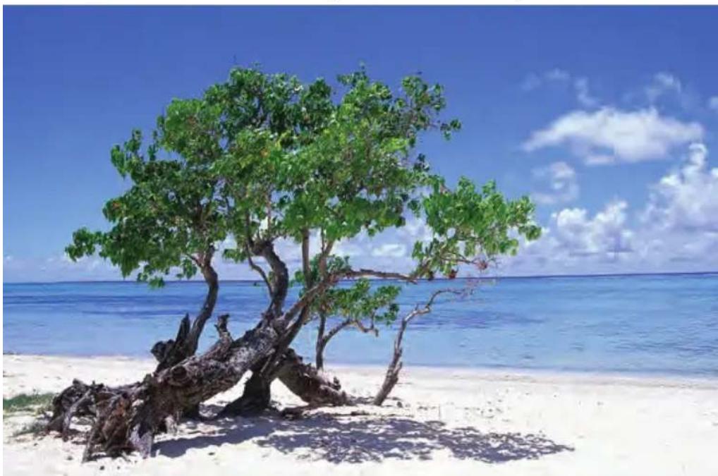 Hoya ProND100 - Blocks both UV rays and IR rays - 1