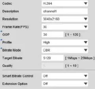 Digital Watchdog DWC-MB48WIAT - Video Configuration - 2