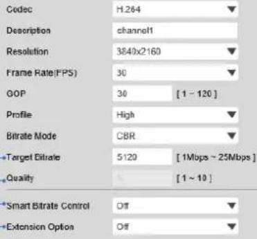 Digital Watchdog DWC-MB48WIAT - Video Configuration - 1