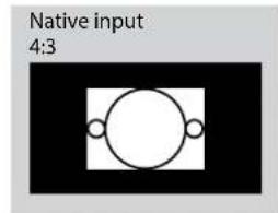 VIVITEK D8010W - —Aspect Ratio - 10