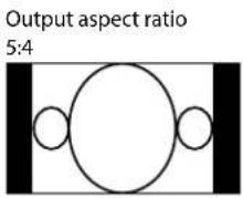VIVITEK D8010W - —Aspect Ratio - 2