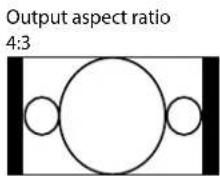 VIVITEK D8010W - —Aspect Ratio - 4
