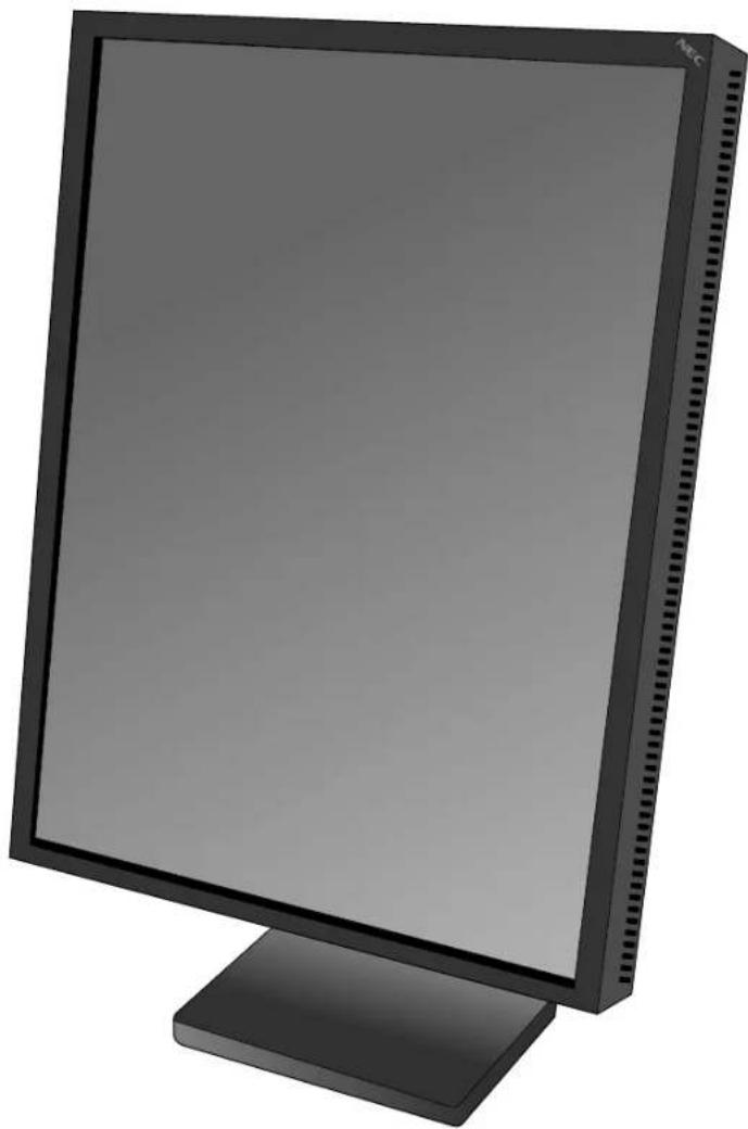 NEC MultiSync 21GS-2MP - NEC - 1