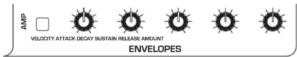 Dave Smith Pro 3 SE - Amplifier Envelope - 1