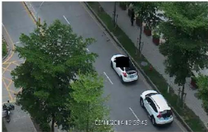 Aerial view of two cars parked on a tree-lined road with greenery, no visible text or symbols.