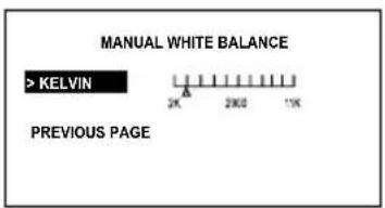 MANUAL WHITE BALANCE > KELVIN 2K 2K0S 11K PREVIOUS PAGE