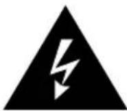 Vitek VTM-PV26i - Shock Hazard Marking and Associated Graphical Symbols - 1