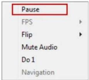 Vitek VTD-AR2D4FN - Pausing Live Video - 1