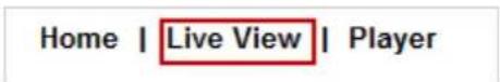 Vitek VTD-AR2D4FN - Viewing Live Video - 3