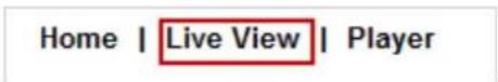 Vitek VTD-MV20VR210NP - Viewing Live Video - 3