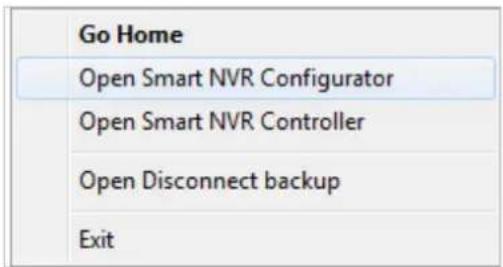 Vitek VT-IPSN16M - Starting EN-V-R Configurator - 2