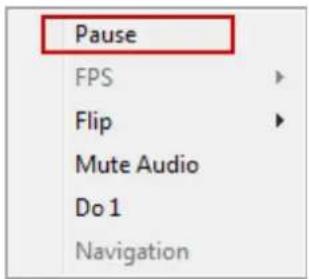 Vitek VT-IPSN16M - Pausing Live Video - 1