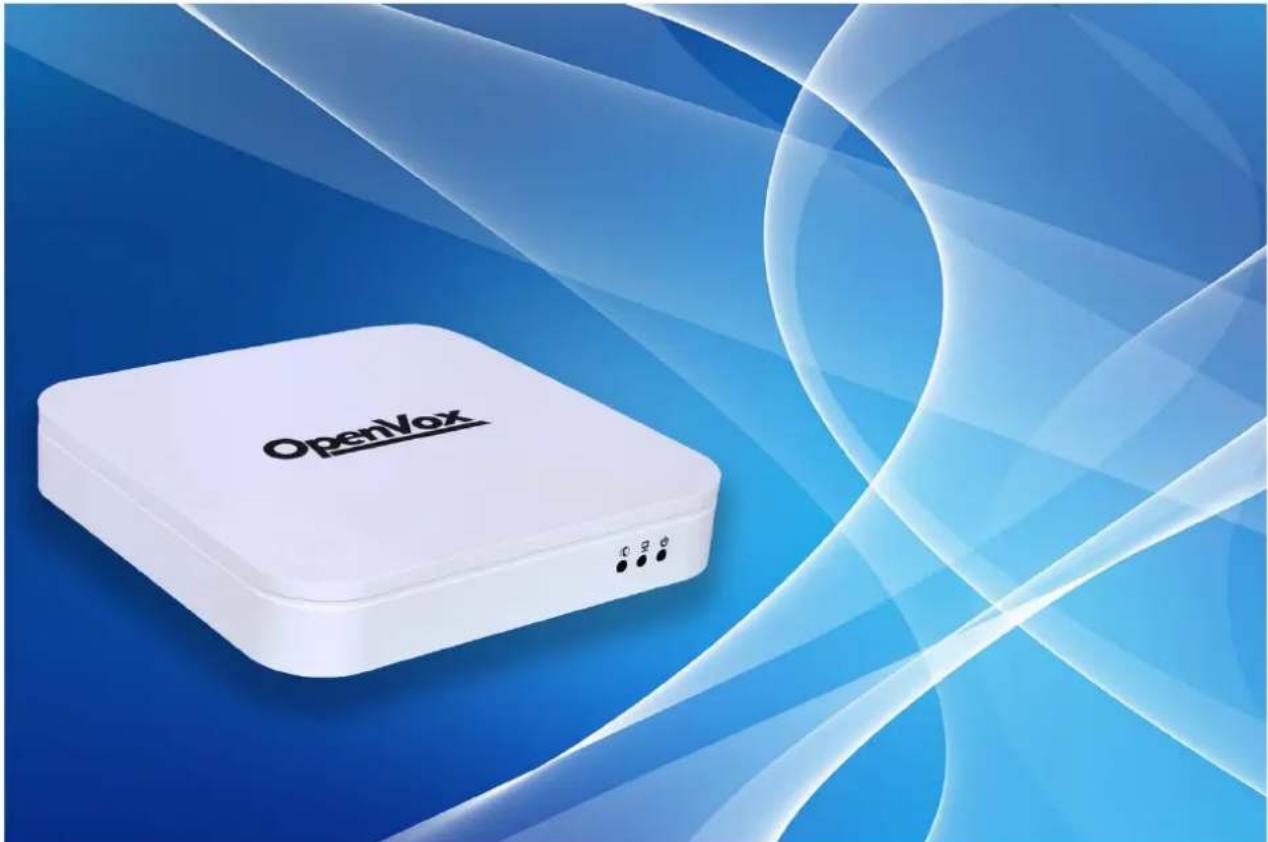 OpenVox iAG840 - IAG840/IAG880 User Manual - 1