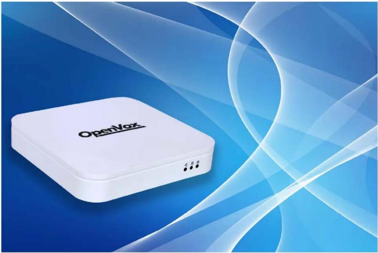 OpenVox iAG804 - IAG804/IAG808 User Manual - 1