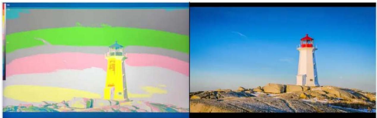 DataVideo TLM-170VM - False Color - 2