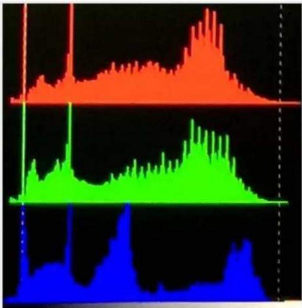 DataVideo TLM-170VM - Color - 1