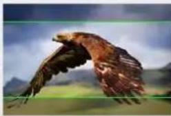DataVideo TLM-170VM - Marker MAT - 3