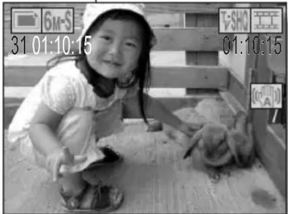 SANYO Xacti VPC-C6E - ■Still image photography - 2