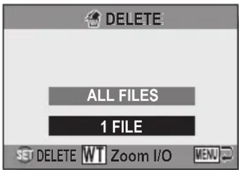 SANYO VPC-E10GX - Deleting files - 1