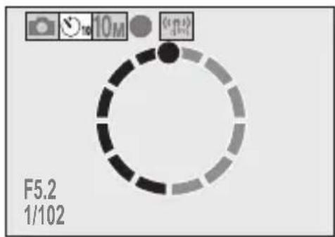 SANYO VPC-E10GX - HINT - 1
