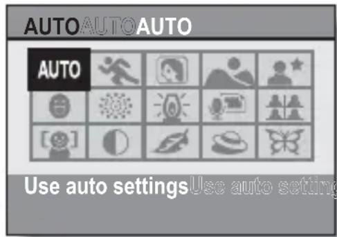 AUTO AUTO AUTO AUTO Use auto settings Use auto setting