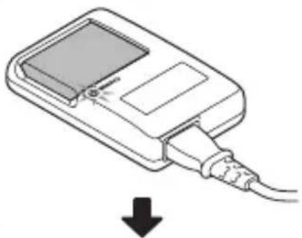 SANYO VPC-X1420PX - Plug the power plug into a power outlet (AC 100 V to 240 V). - 1